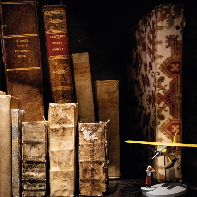 Libreria Antiquaria Un Natale Geniale. Via Dei Priori. Perugia 2020